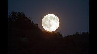 FULL MOON VIDEO HD  Free Stock Footage  Free HD Video - no copyright