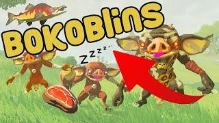 BOKOBLINS eating and sleeping for 3 minutes