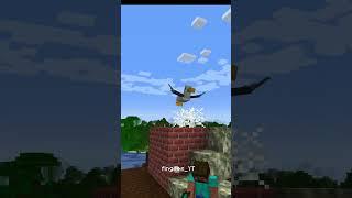 I Added Seagull Poop to Minecraft