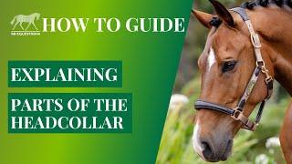 Guide to headcollars what are the parts of a headcollar?