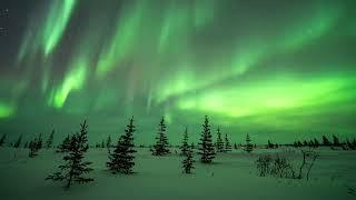 8K Ultra HD Northern Lights Timelapse Compilation from Churchill Manitoba