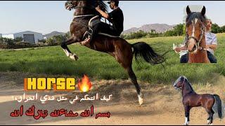 # فلوق 85 طريقة التحكم في الخيل الحاره