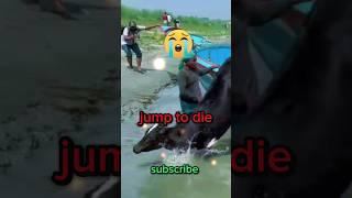  cow falls on river #shorts #16 #cow #youtubecowchennel