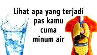 Efek Apa Aja yang Akan Kamu Rasakan kalau Kamu Cuma Minum Air Putih?