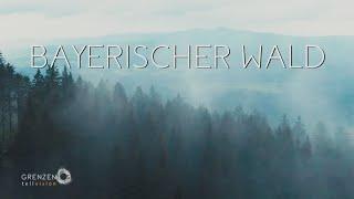 Grenzenlos - Die Welt entdecken im Bayerischen Wald mit Nina Heinemann