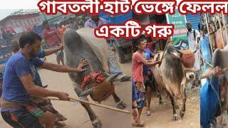 গাবতলী হাটে পাগলা গরু কাকে বলে তিন লক্ষ ২৫ হাজার টাকায় বিক্রি গরু ক্রেতা বাড়ি নিতে পারবেন কি?cow