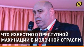 ДЕЛО МОЛОЧНИКОВ Что известно по делу о коррупции на Бабушкиной крынке?