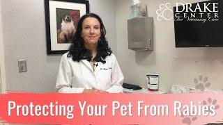 Protecting Your Pet From Rabies