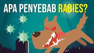 Bahaya Rabies