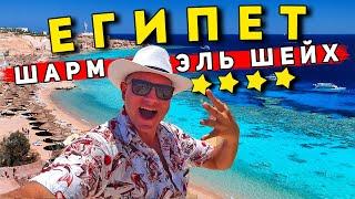 Египет - ЛУЧШИЙ пляж в Шарм Эль Шейх Отель Faraana Reef. Дайвинг в Египте и ТОП экскурсия