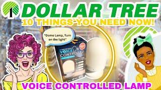 DOLLAR TREE 10 THINGS YOU NEED THIS JULY 2024  AWESOME *NEW FINDS* @dollartree 