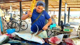 Fish Cut6ting Skills Negombo Fish Market