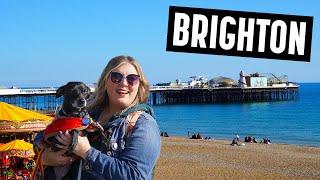 The PERFECT Day in Brighton - Cant believe this is England