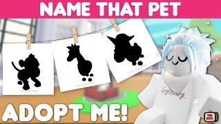Name that Adopt Me Pet Challenge  20 pets to identify