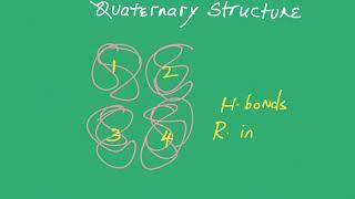 Biological Macromolecules complete.mp4