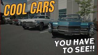 Jaw-dropping classic car collection tour