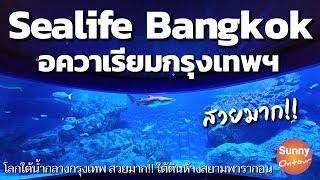 พาเที่ยวโลกใต้น้ำ ดูปลา ชมเพนกวิน ห้างสยามพาราก้อน สวยมาก  Sealife​ Bangkok​  Sunny​ ontour​