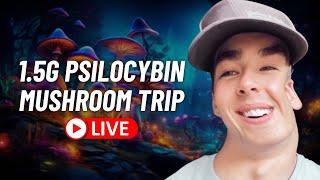My Live Psilocybin Mushroom Experience