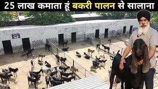 सरदार साहब का सफल Goat Farming Model  Goat Farming In India Hindi