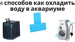 6 способов как охладить воду в аквариуме летом