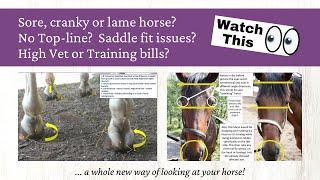 Sore cranky or lame horse? No Top-line? Saddle fit issues? High Vet or Training bills?