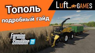 Тополь выгода и особенности выращивания  Farming Simulator 22