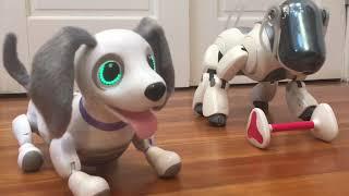 Zoomer Playful Pup and Sony Aibo ERS-7M3