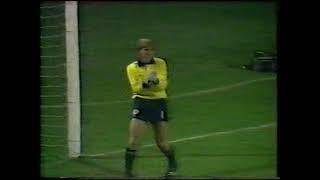 Scotland 3-1 Spain 11-11-1984