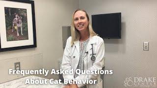 Frequently Asked Questions About Cat Behavior