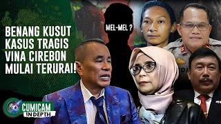 UPDATE Kasus Vina Cirebon Hotman Paris Pegang Saksi Kunci Tantang Saka Mengaku   INDEPTH
