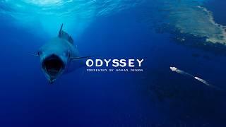 Best WAHOO fishing in the world? The ODYSSEY Series Episode 1