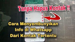 Cara Menyembunyikan Info Di WA Dari Kontak Tertentu