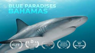 Diving THE BAHAMAS - Bahamas - Underwater Video 4K - BLUE PARADISES S02