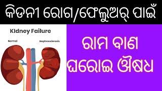 କିଡନୀ ରୋଗ ର ଘରୋଇ ଉପଚାର  Kidney Disease Treatment in Odia Kidney Failure treatment