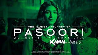 PASOORI REMIX - DJ KAWAL X DJ FRESH