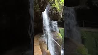 Hike the Levada do Moinho - Levada Nova in Madeira with me It leads to an epic waterfall