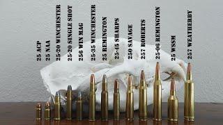 Complete Guide to 25 Caliber Cartridges  25 ACP 25-06 257 Weatherby 250 Savage & More