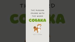 The Russian idioms with the word «собака» part 1  learn Russian language #russianlanguage