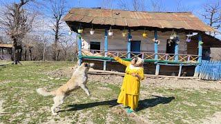 How iranians Girls live in a village?  everydays life for iranian girls in the village