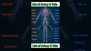 list of artery and vein #artery #veins #shorts #medical #viral