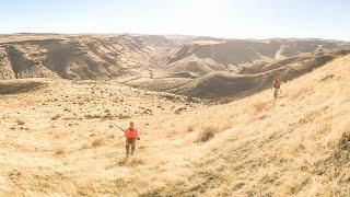 Hunting Idaho Mountain Birds - Chukar Hungarian Partridge & Quail  The Flush Season 10 Episode 7