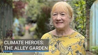 Climate Heroes Belfast alley garden inspires greening of urban spaces