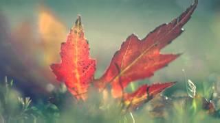 Autumn mood _ Beatrix Sipos Giovanni Marradi