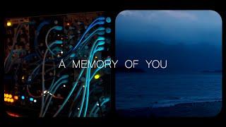 A memory of you  Eurorack modular ambient