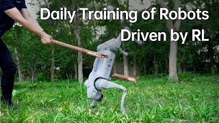 Daily Training of Robots Driven by RL