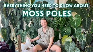 MY ULTIMATE MOSS POLE GUIDE - everything I have learned about Moss Poles over the last 3 years