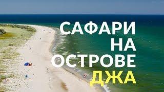 Остров Джарылгач. Сафари