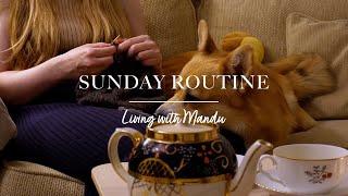  Sunday routine  Meal prep for a busy week  Living alone in Sweden vlog