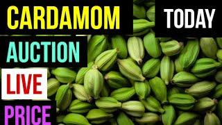 Cardamom auction live price today INDIA 19 JULY 2024 Elaichi wholesale market price