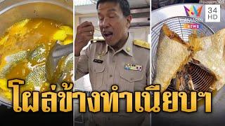 ปลาหมอคางดำ” ระบาดหนัก โผล่คลองผดุงกรุงเกษม ข้างทำเนียบรัฐบาล  ข่าวอรุณอมรินทร์  17767